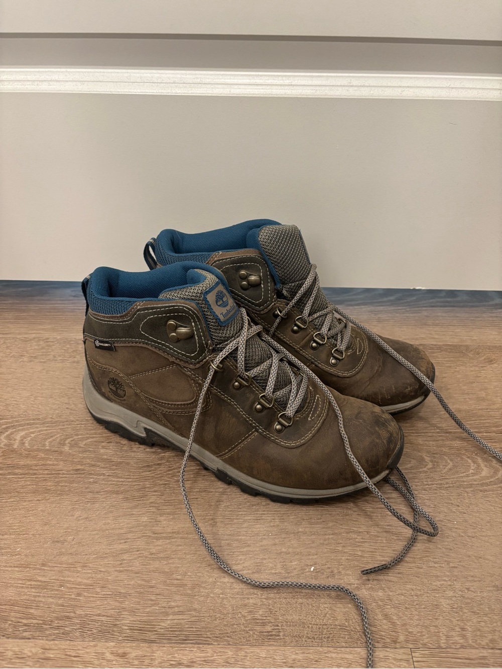 Women's Mt. Maddsen Waterproof Mid Hiking Boot